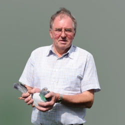 D'Hondt Germain
